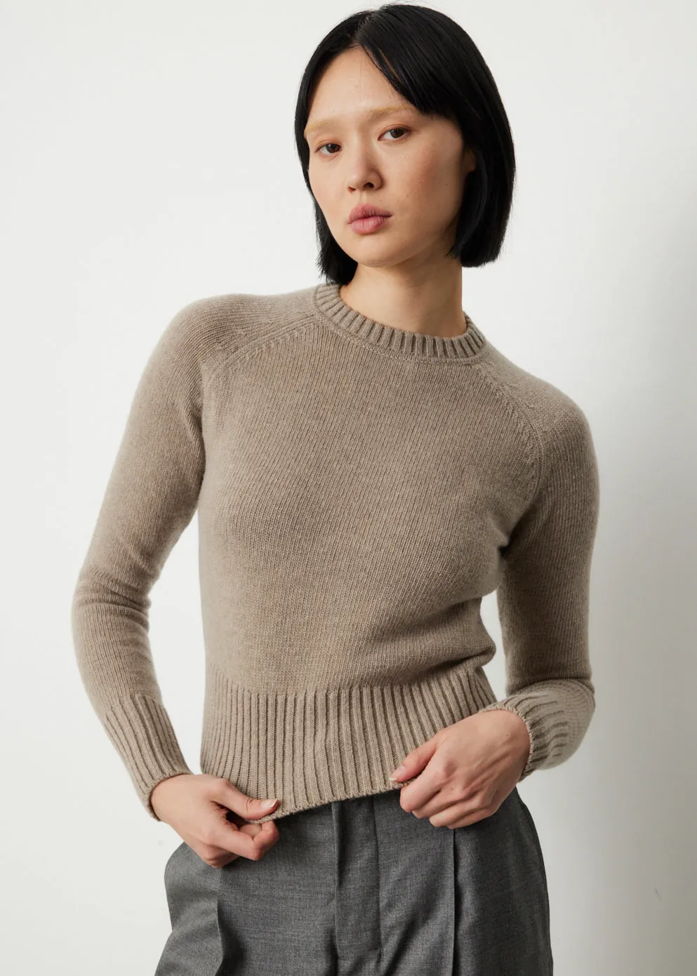 Crewneck Knit Sweater