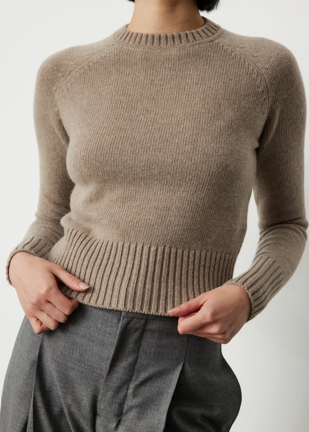 Crewneck Knit Sweater