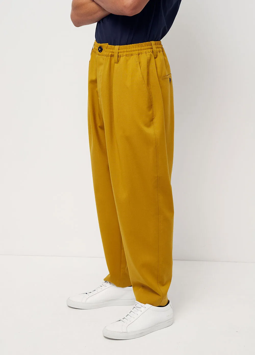 Pleated Wool Pants