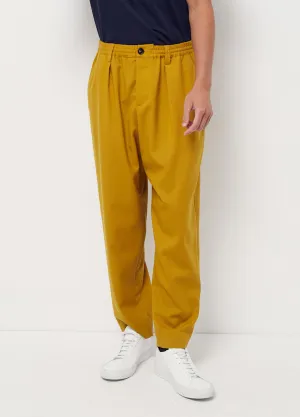 Pleated Wool Pants