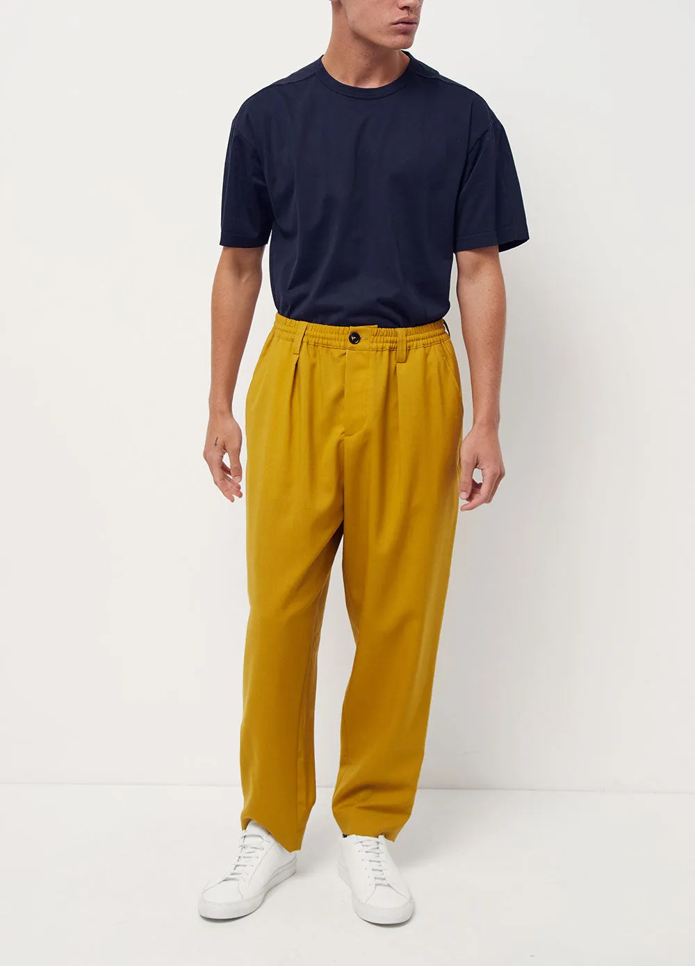 Pleated Wool Pants